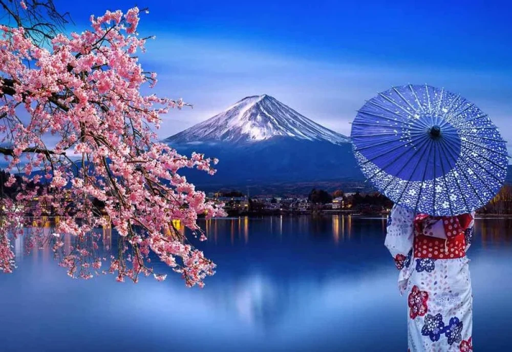 Japonya Turu