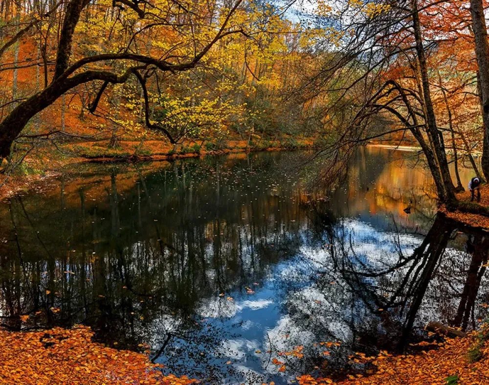 Bolu