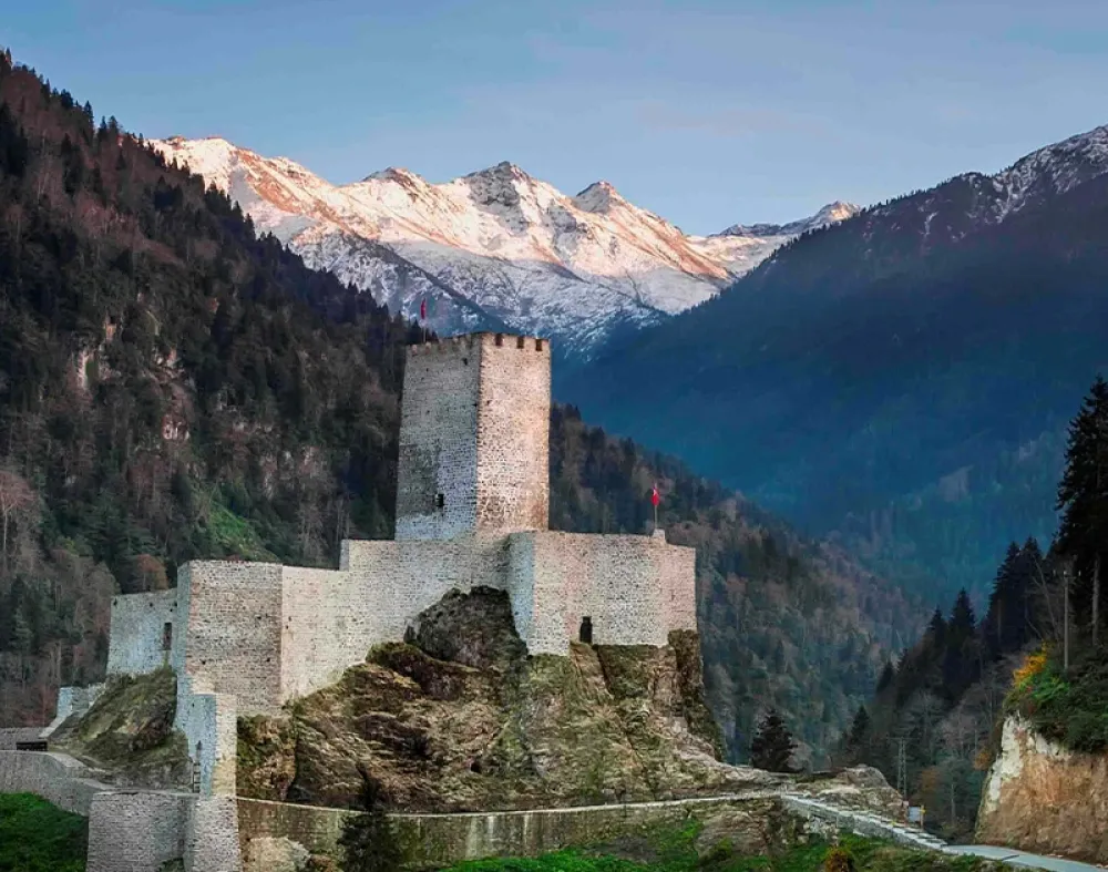 Rize