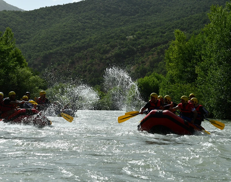 aa