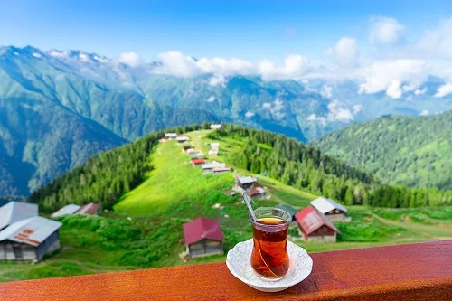 aa
