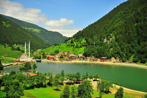 aa